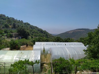 Liban   Août 2022   007