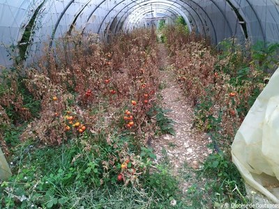 Liban   Août 2022   026