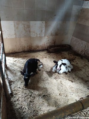 Liban   Août 2022   029