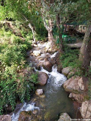 Liban   Août 2022   053