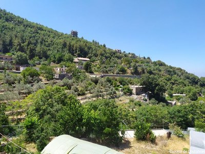 Liban   Août 2022   057