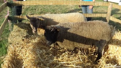 F. de la terre et de la ruralité    Sept. 2022   005