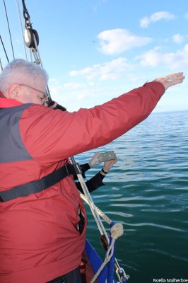 JMMR   27.10.2024   014