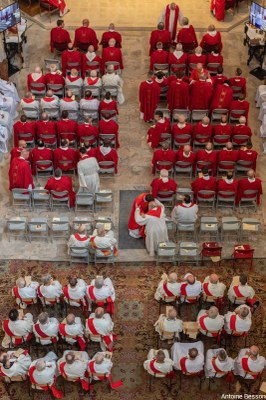 Ordinations presbytérales   28.06.2026   117