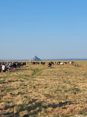 pèlerinage des Grèves   23.07.2026   009