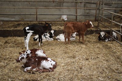 Visite pastorale-©pays valognais-0011.JPG