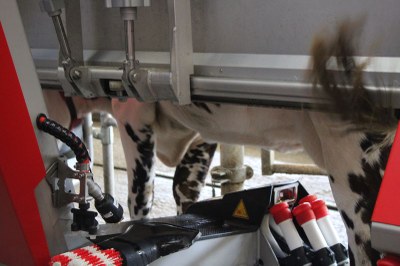 Visite pastorale-©pays valognais-0012.JPG