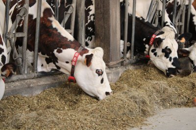 Visite pastorale-©pays valognais-0015.JPG