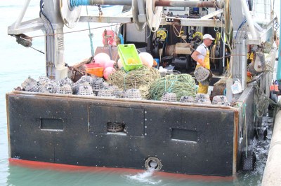 Visite pastorale-©pays valognais-J3-0020.JPG