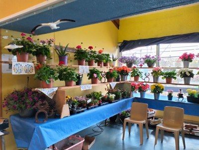 Kermesse 26  (2)