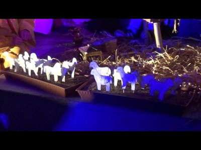 Crèche vivante 2022 (18)