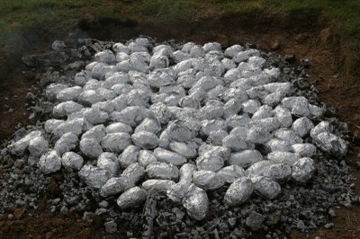 20240525 26 sgdf (8)