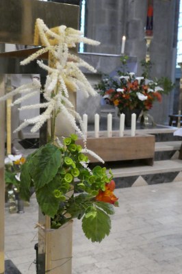 20230611 PF Valognes  (3)