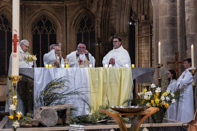 30032024 YH7A0354 Avec accentuation Bruit