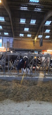 J2 mercredi Ferme Couville 5