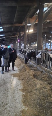 J2 mercredi Ferme Couville 1