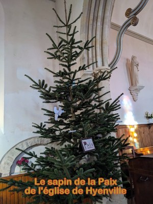 20231201 Crèche Hyenville (6)