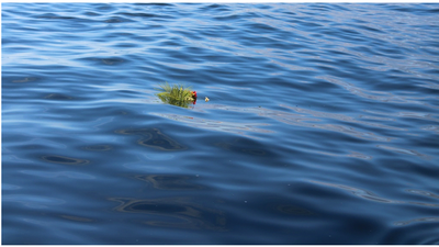 Capture d'écran 2024 11 13 225938